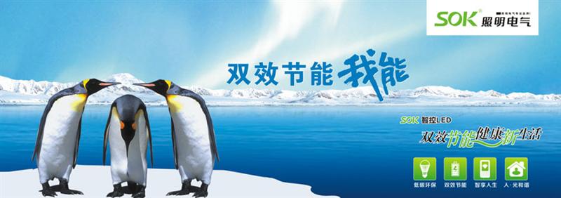 SOK照明电器公司简介4.jpg